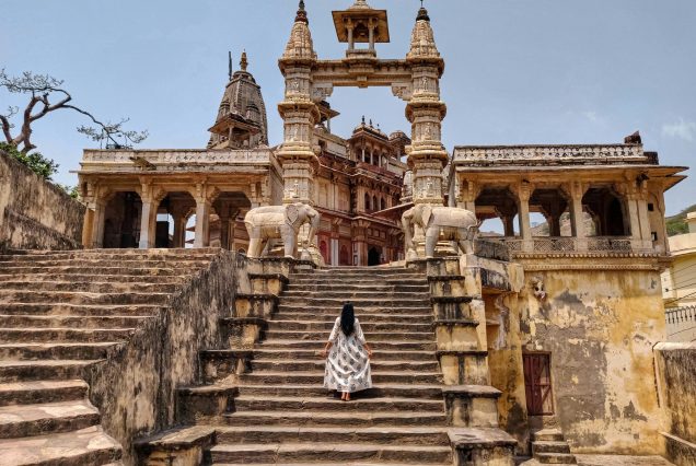 pexels-jaipurkachokra-2944561